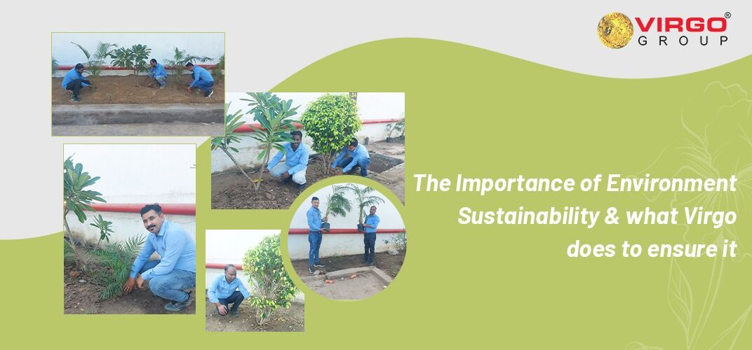 The Importance of Environment Sustainability
