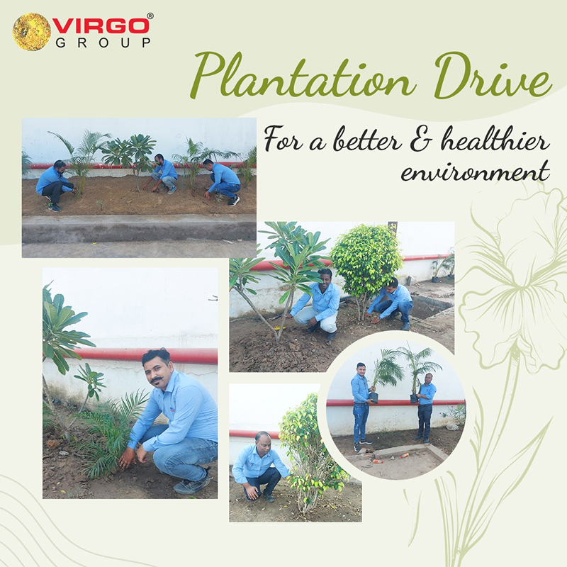 Plantation Drive